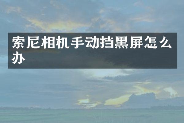 索尼相机手动挡黑屏怎么办