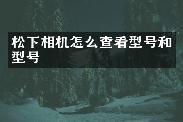 松下相机怎么查看型号和型号