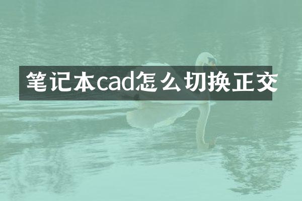 笔记本cad怎么切换正交