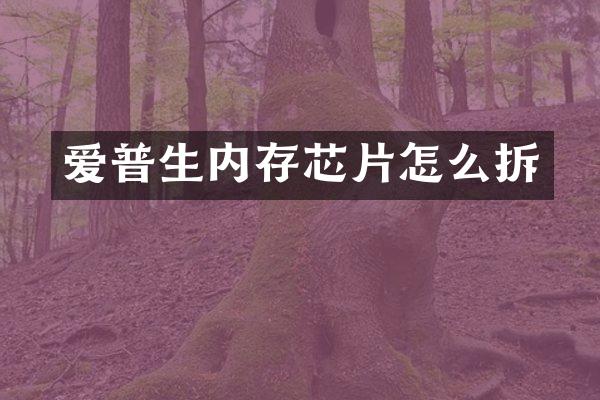 爱普生内存芯片怎么拆