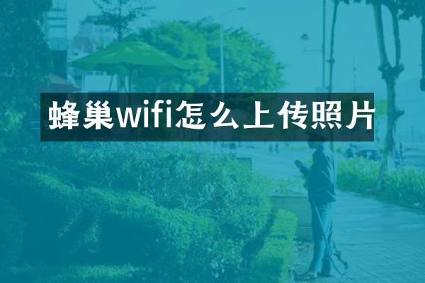 蜂巢wifi怎么上传照片