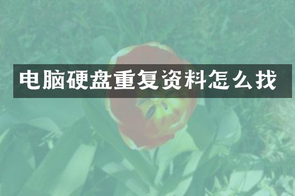 电脑硬盘重复资料怎么找