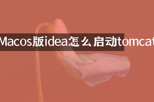 Macos版idea怎么启动tomcat