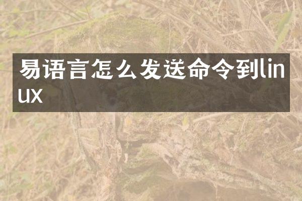 易语言怎么发送命令到linux