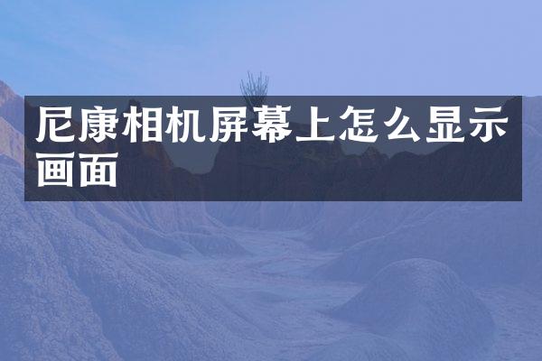 尼康相机屏幕上怎么显示画面