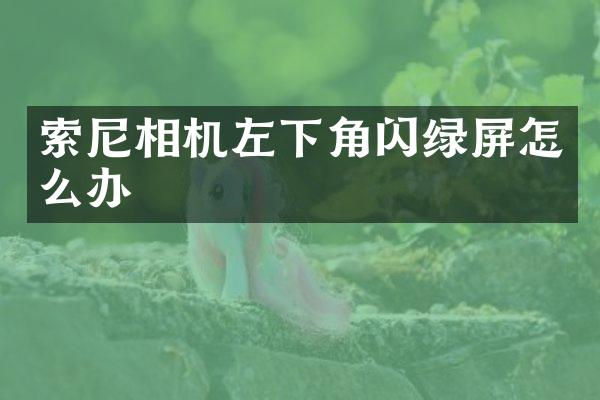 索尼相机左下角闪绿屏怎么办