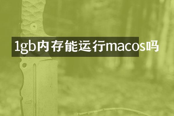 1gb内存能运行macos吗
