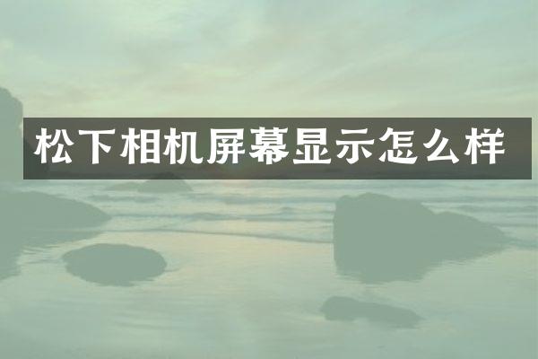 松下相机屏幕显示怎么样