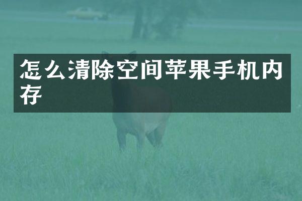 怎么清除空间苹果手机内存