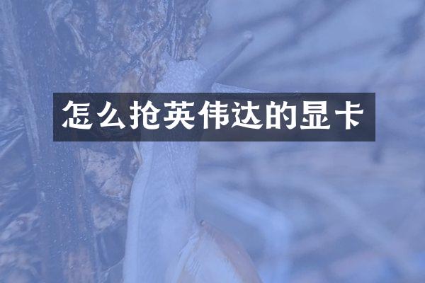 怎么抢英伟达的显卡