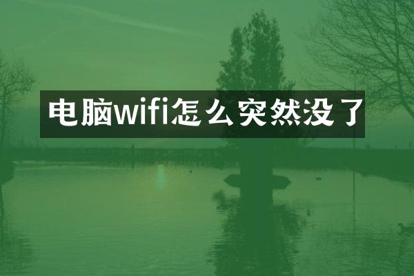 电脑wifi怎么突然没了