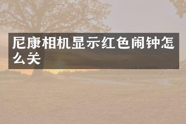 尼康相机显示红色闹钟怎么关