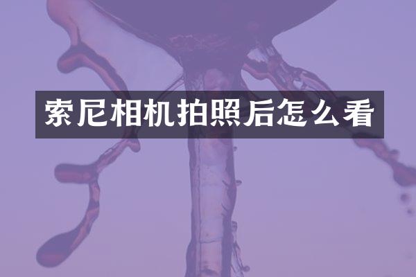 索尼相机拍照后怎么看