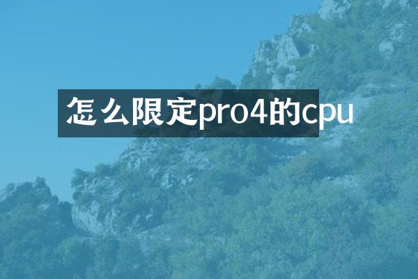 怎么限定pro4的cpu