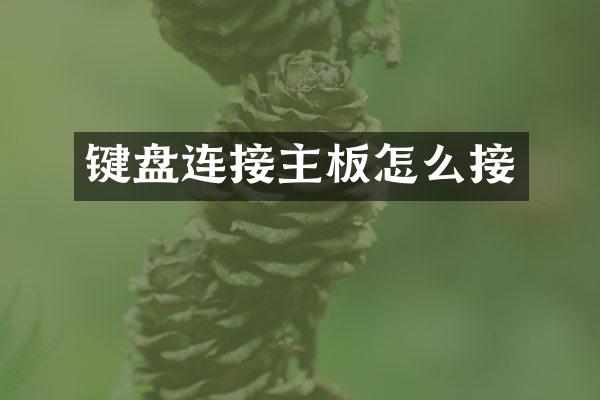 键盘连接主板怎么接