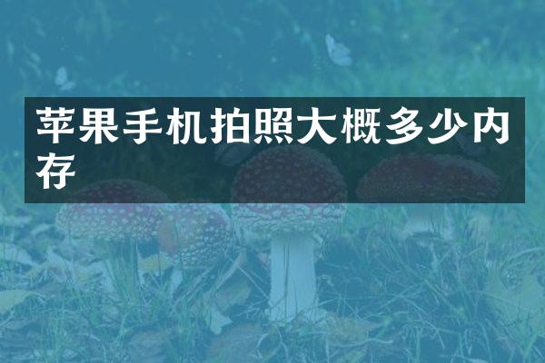 苹果手机拍照大概多少内存