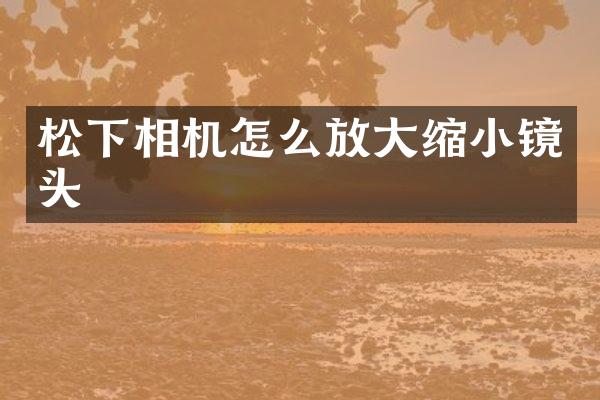 松下相机怎么放大缩小镜头