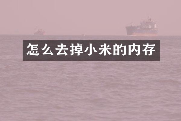 怎么去掉小米的内存