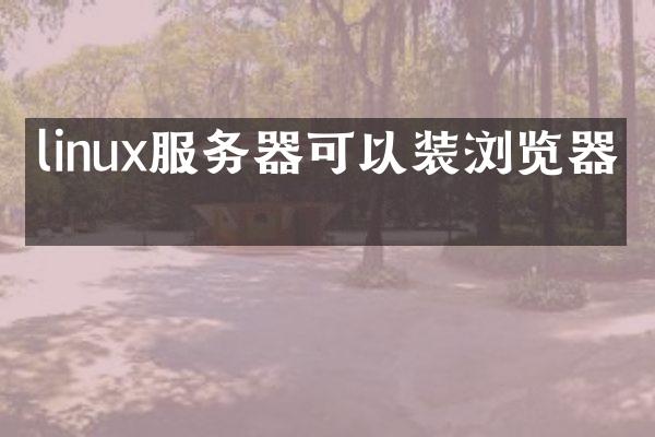 linux服务器可以装浏览器吗