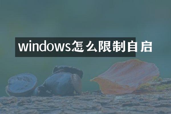 windows怎么限制自启