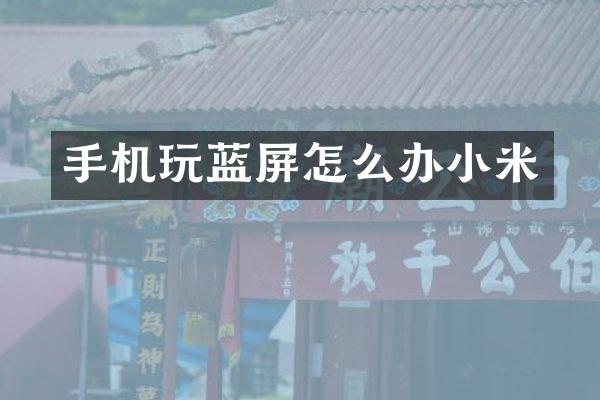 手机玩蓝屏怎么办小米
