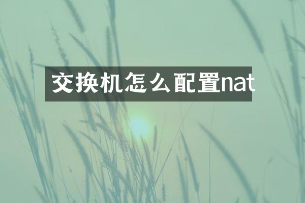 交换机怎么配置nat