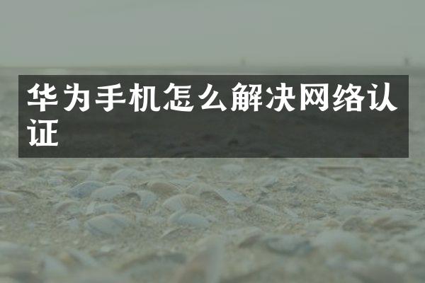 华为手机怎么解决网络认证