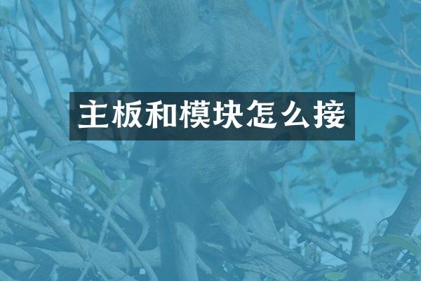 主板和模块怎么接