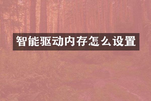 智能驱动内存怎么设置