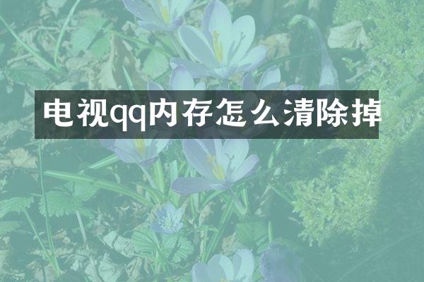 电视qq内存怎么清除掉