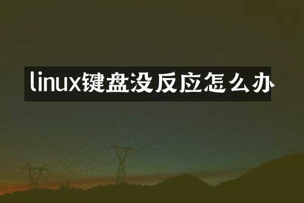 linux键盘没反应怎么办