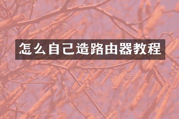 怎么自己造路由器教程