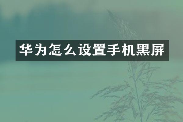 华为怎么设置手机黑屏