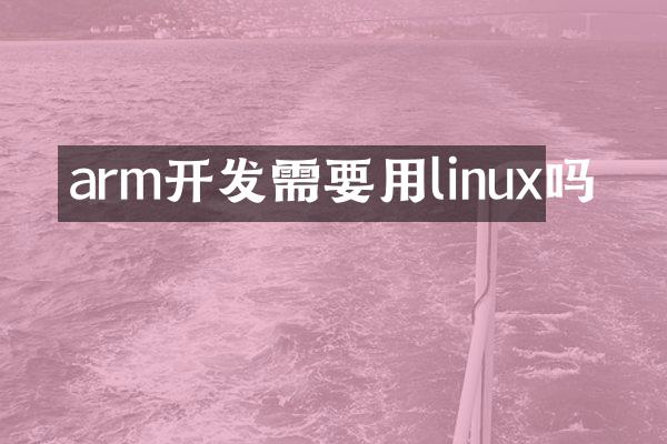 arm开发需要用linux吗