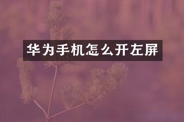 华为手机怎么开左屏