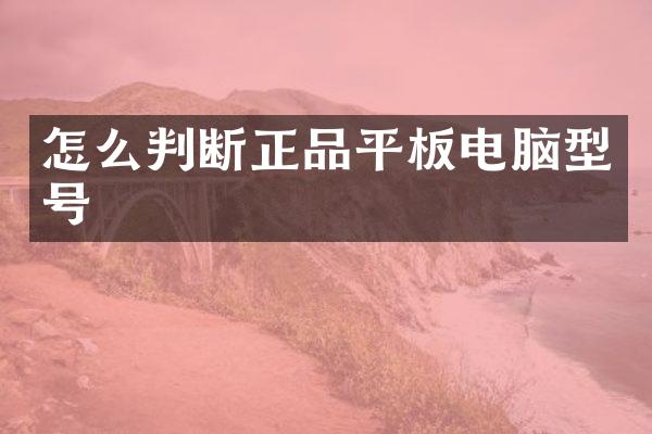 怎么判断正品平板电脑型号