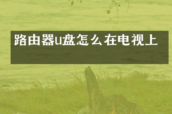 路由器u盘怎么在电视上看