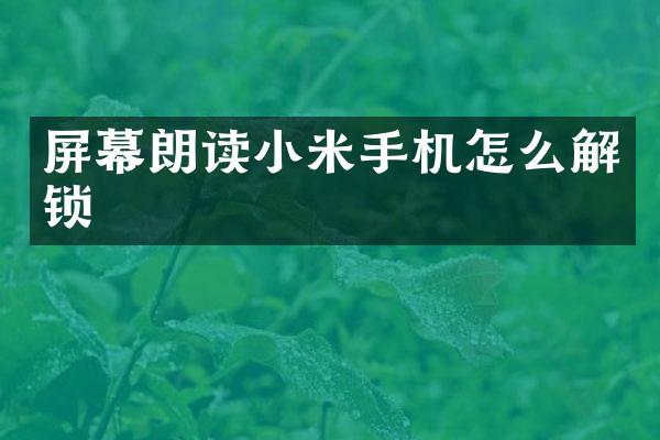 屏幕朗读小米手机怎么解锁