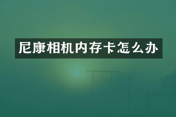尼康相机内存卡怎么办