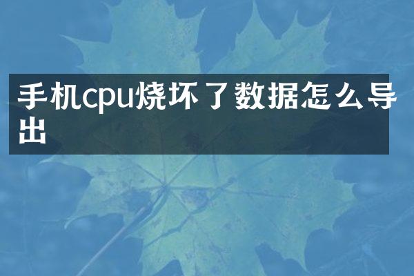 手机cpu烧坏了数据怎么导出