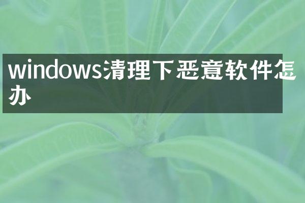 windows清理下恶意软件怎么办