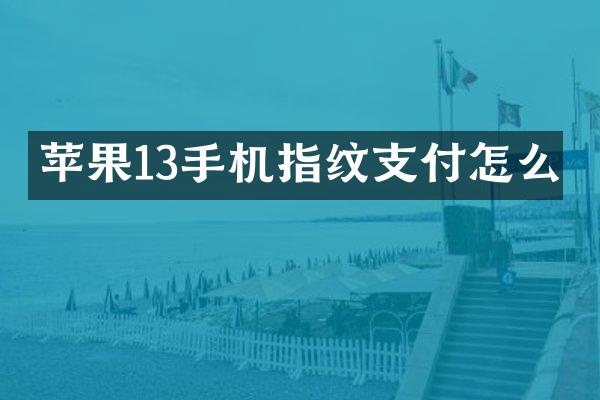 苹果13手机指纹支付怎么