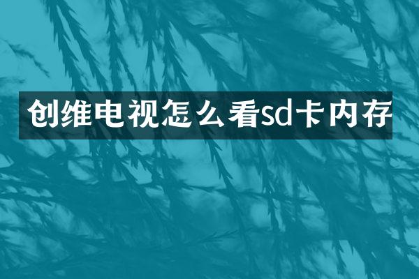 创维电视怎么看sd卡内存