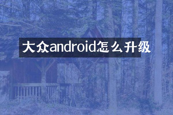 大众android怎么升级