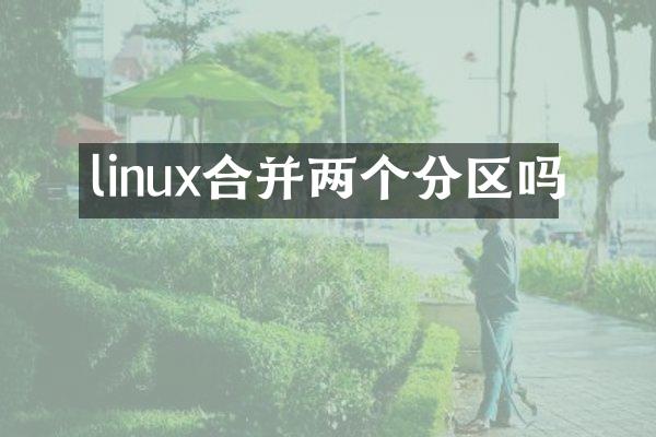 linux合并两个分区吗