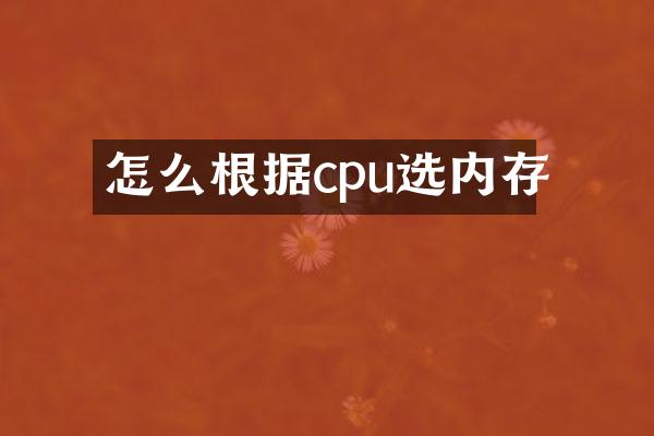 怎么根据cpu选内存