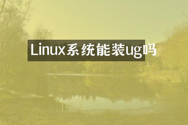 Linux系统能装ug吗