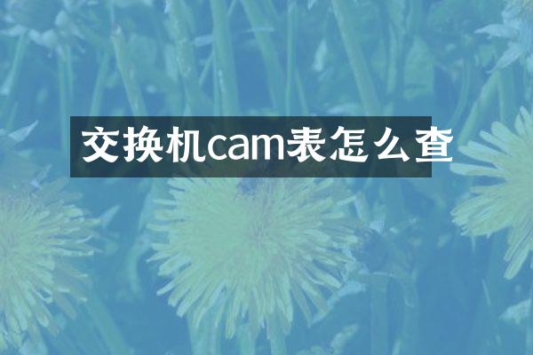 交换机cam表怎么查