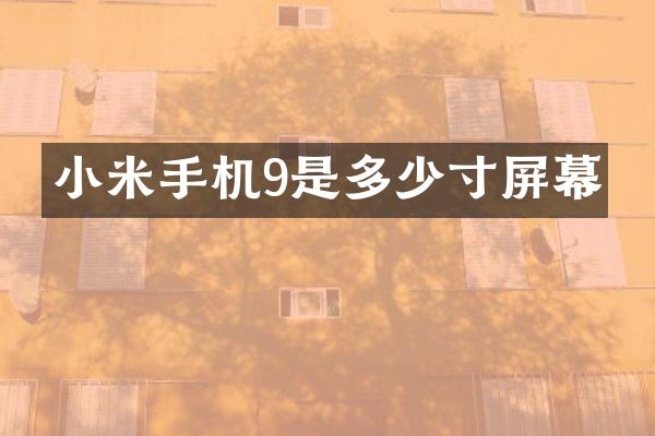 小米手机9是多少寸屏幕