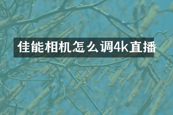 佳能相机怎么调4k直播